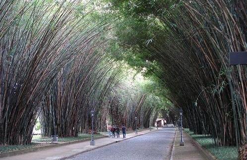 Nova Friburgo é a cidade mais fria do Estado do Rio (Divulgação)