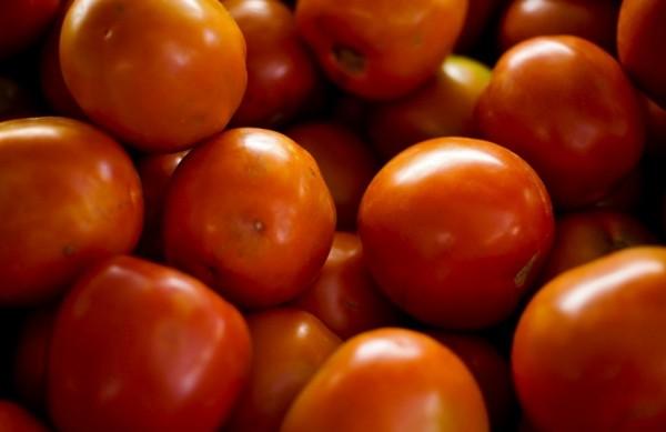 O tomate, o novo vilão da inflação, continuou sua trajetória de alta e subiu +11,9% (Agência Brasil)