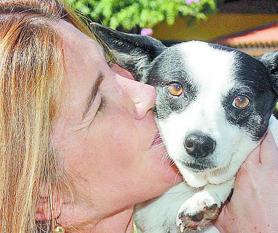 Alessandra Belluci recebe cãozinho com beijo e abraço (Del Rodrigues)