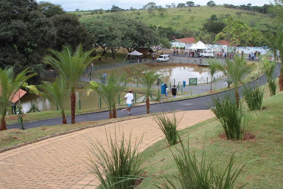 Bosque "Silvia Brandão Bertazzoli Belluci" , no Parque Santa Bárbara, na região Norte de Campinas (Janaína Maciel/Especial para AAN)