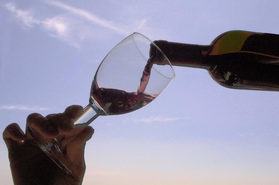 Vinho argentino é um dos mais consumidos pelos brasileiros (Divulgação)