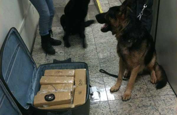 Prisão ocorreu a partir de ação conjunta entre a Polícia Federal e a Receita Federal (Divulgação)