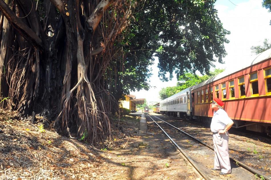 Seringueira à beira da linha férrea ameaça passageiros da Maria-Fumaça (Cedoc/RAC)