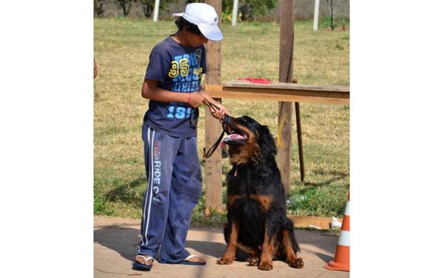 Garoto está ao lado de um cão, da raça Rotwailler. O menino segura a coleira e o cachorro está sentado ao seu lado. (Tô Dentro!)