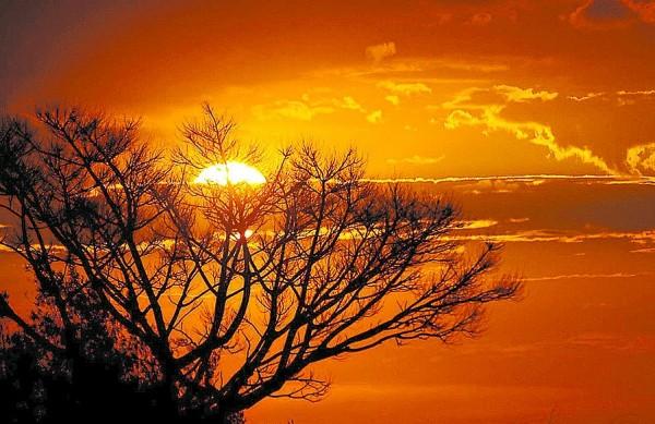 O potencial de energia gerada pelo sol na região de Campinas é destaque no Atlas Solar do Estado (Cedoc/RAC)