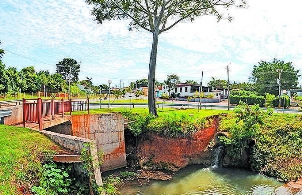 Erosão ameaça árvore de queda na Avenida Rio das Pedras (Antonio Trivelin/AAN)