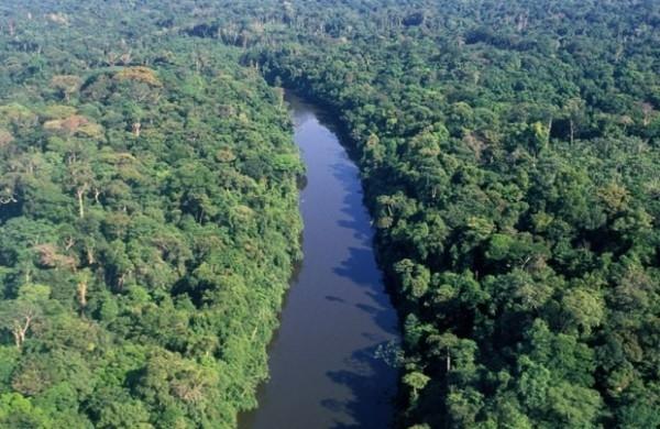 Imagem da Floresta Amazônica (Divulgação)