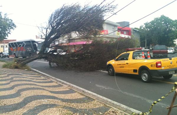 Tráfego no local é intenso e o motorista que puder deve evitar o trecho (Douglas Fonseca/ AAN )