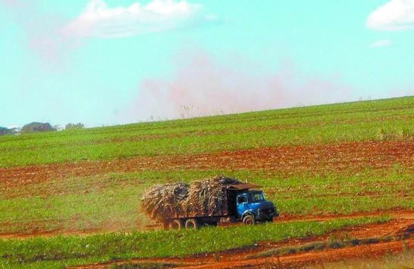 Caminhão transporta cana em fazenda na região de Ribeirão: capacidade de produção deve ser reforçada (Sérgio Masson-24 ago 2012)
