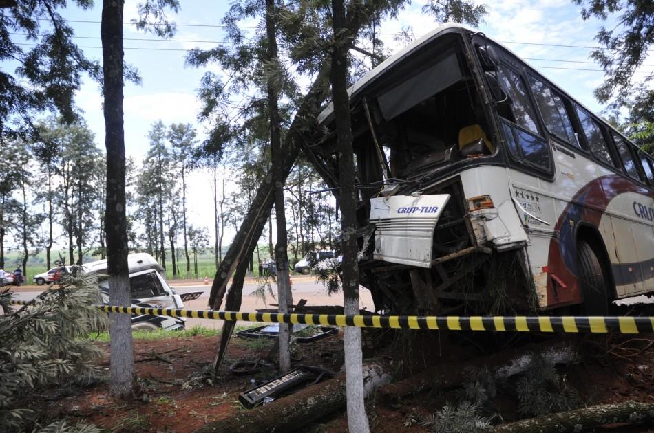 Após choque com caminhão, ônibus só parou em árvores (Lucas Mamede/AAN)