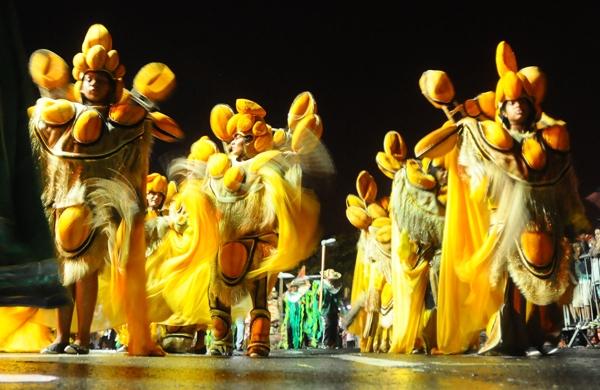 Este ano, Prefeitura investiu R$ 140 mil no Carnaval (Érica Dezonne/ AAN)