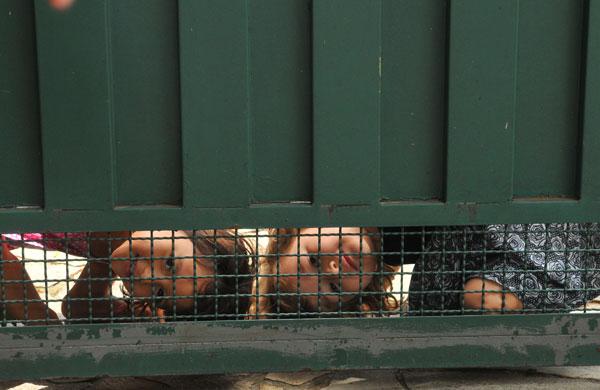 Meninas espeiam debaixo do portão (Alessandro Rosman/AAn)