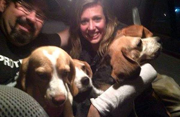 A apresentadora de TV Luiza Mell posa com cães da raça beagle resgatados do Instituto Royal, em São Roque ( Reprodução/Facebook)