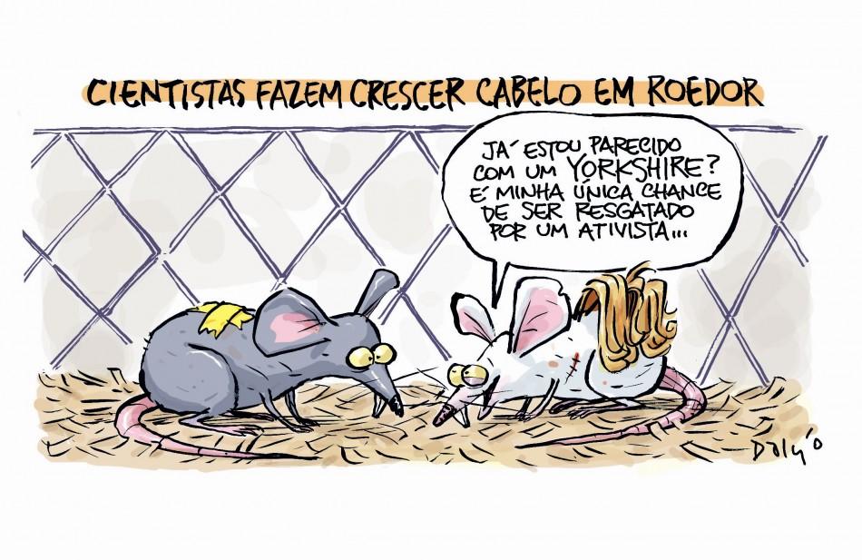 Charge (Dalcio)