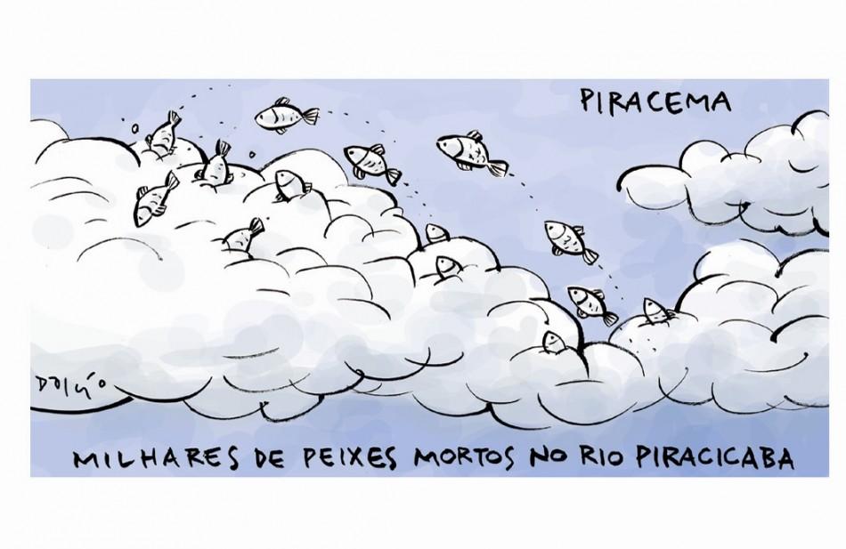 Charge ( Dalcio)