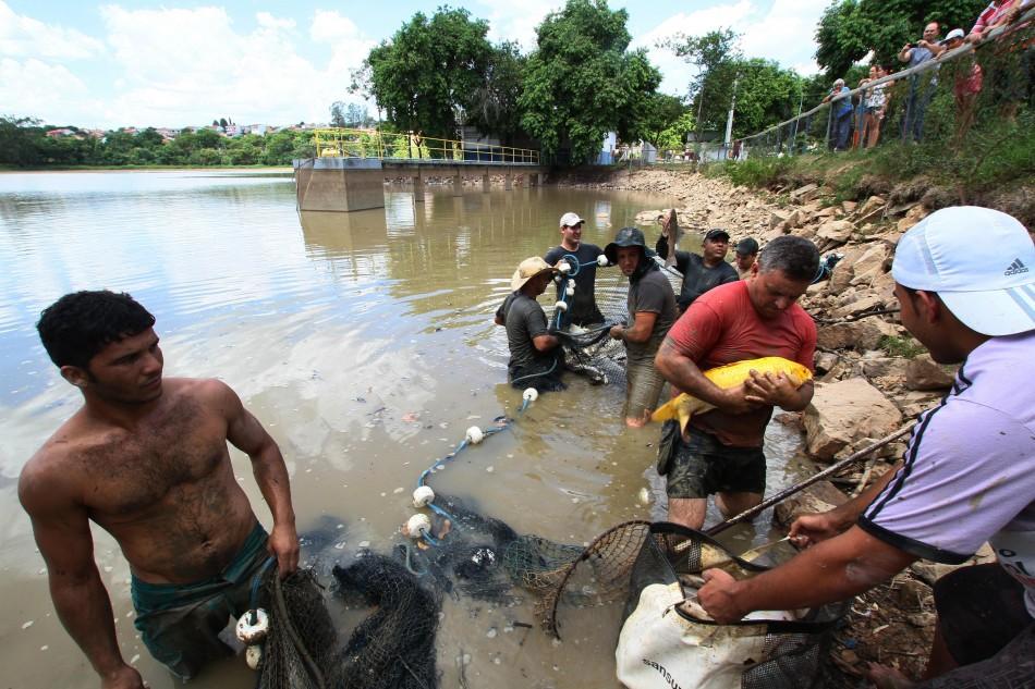 Peixes foram transferidos da lagoa do CLT de Valinhos e levados para outro local para garantir a sobreviv&ecirc;ncia ( Jana&iacute;na Ribeiro/Especial a AAN )