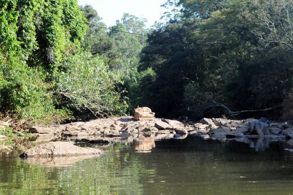 Expedição revela cenário desolador no Rio Atibaia ( Edu Fortes/AAN)