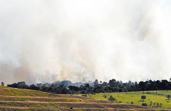 Fuma&ccedil;a sobe da  mata queimada na Fazenda Santa B&aacute;rbara: fogo come&ccedil;ou no domingo &agrave; noite ( Gustavo Tilio/Especial para a AAN)