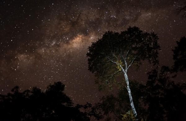Foto noturna no Cont&iacute;nuo do Paranapiacaba, que integra o livro 'Ka-&aacute;. A floresta Atl&acirc;ntica Intocada' (Divulgação/Octavio Campos Salles)