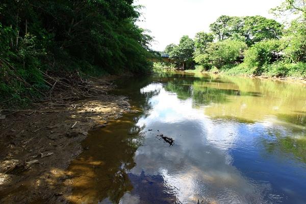 Rio Atibaia, em Campinas, registrou nesta sexta-feira a menor vaz&atilde;o para o m&ecirc;s de mar&ccedil;o ( Leandro Ferreira/AAN)