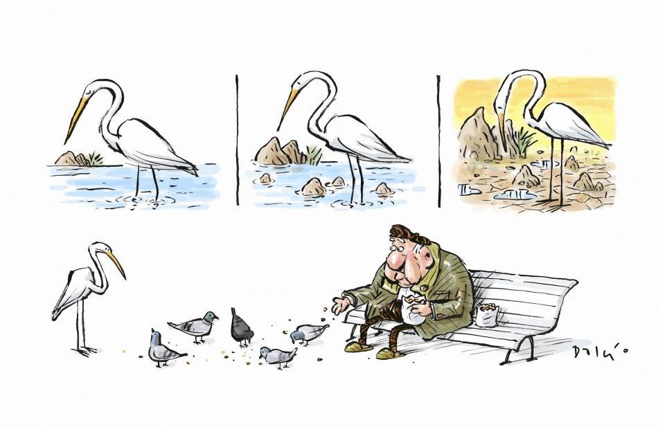 Charge ( Dalcio)