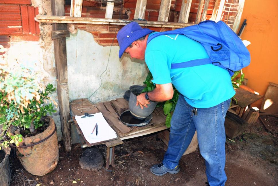 Limeira registrou queda nos casos de dengue em 2014 ( Divulgação)