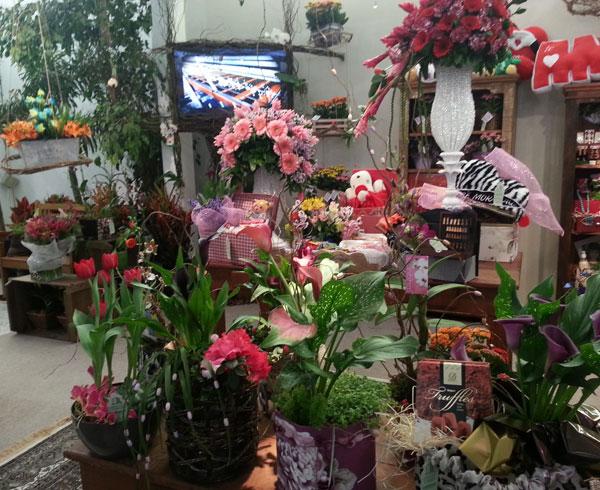 Imagem da feira do ano passado: arranjos e plantas que s&atilde;o tend&ecirc;ncia (Divulgação)