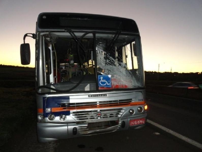 Motorista do &ocirc;nibus disse &agrave; pol&iacute;cia que n&atilde;o conseguiu frear para evitar o atropelamento ( Divulgação)