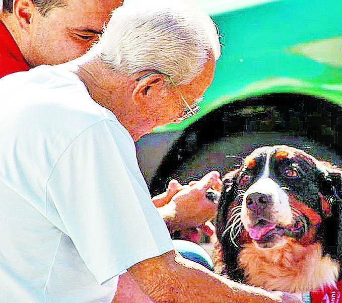 Idoso brinca com um dos &quot;Anjos que Latem&quot;: troca de carinho ( Divulgação)