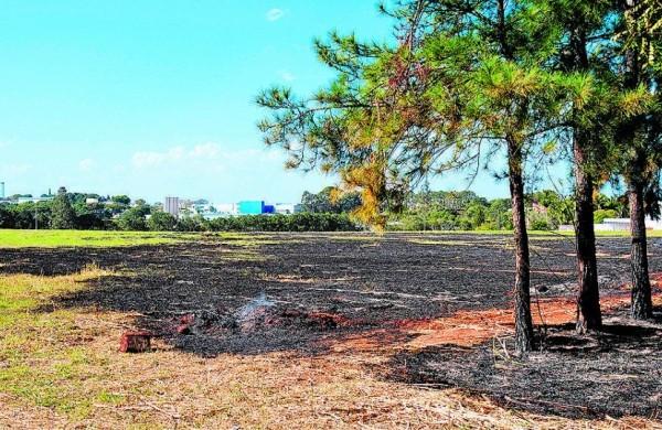 &Aacute;rea da festa que foi incendiada e que causou reclama&ccedil;&atilde;o dos moradores  ( Antonio Trivelin/ Gazeta de Piracicaba )