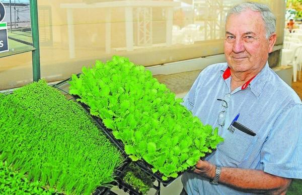 Sampaio, da IBS, conta que queda na venda de mudas &eacute; de 10% ( Del Rodrigues/ AAN)
