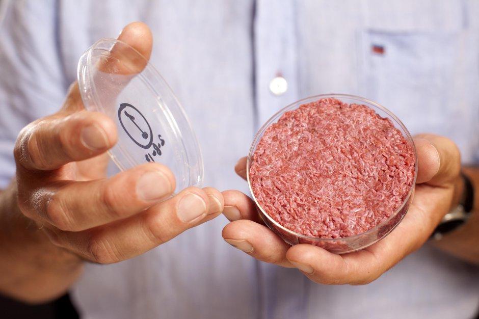 Frankenburger , o hamb&uacute;rguer in vitro &eacute;, tem o custo de fabrica&ccedil;&atilde;o que beira os 250 mil euros ( Cedoc/ RAC)