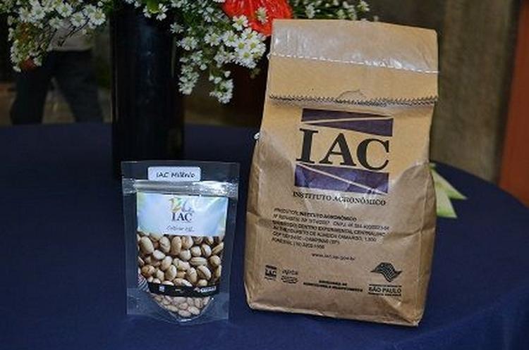 Instituto Agron&ocirc;mico de Campinas (IAC) reduziu em 70% a produ&ccedil;&atilde;o de sementes por causa da estiagem ( Cedoc/RAC)