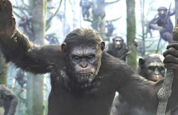 Planeta dos Macacos: O Confronto - Dawn of the Planet of the Apes ( Divulgação)