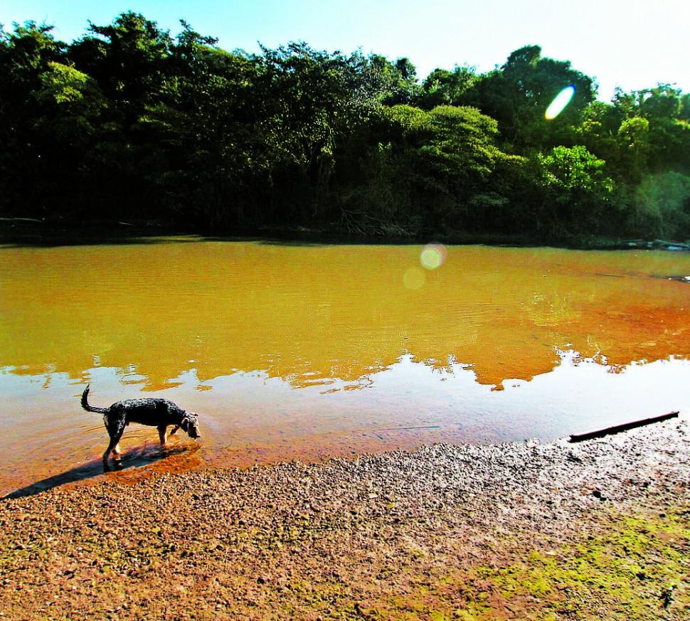 Rio Atibaia em Campinas: suposto desvio para empresa em Jundia&iacute; reduziria vaz&atilde;o em cidades sequentes ( Janaína Ribeiro/Especial a AAN )
