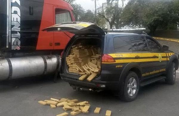 Maconha santos (Divulgação Polícia Federal)