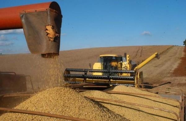 Pesquisa feita pela Conab sobre a safra brasielira foi feita entre os dias 21 e 27 de setembro ( Agência Brasil)