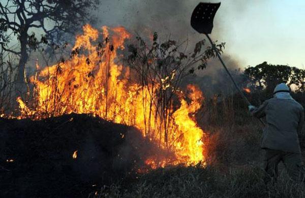 Inc&ecirc;ndios no pa&iacute;s em outubro dobram em rela&ccedil;&atilde;o ao mesmo m&ecirc;s de 2013  (Valter Campanato/ Agência Brasil)