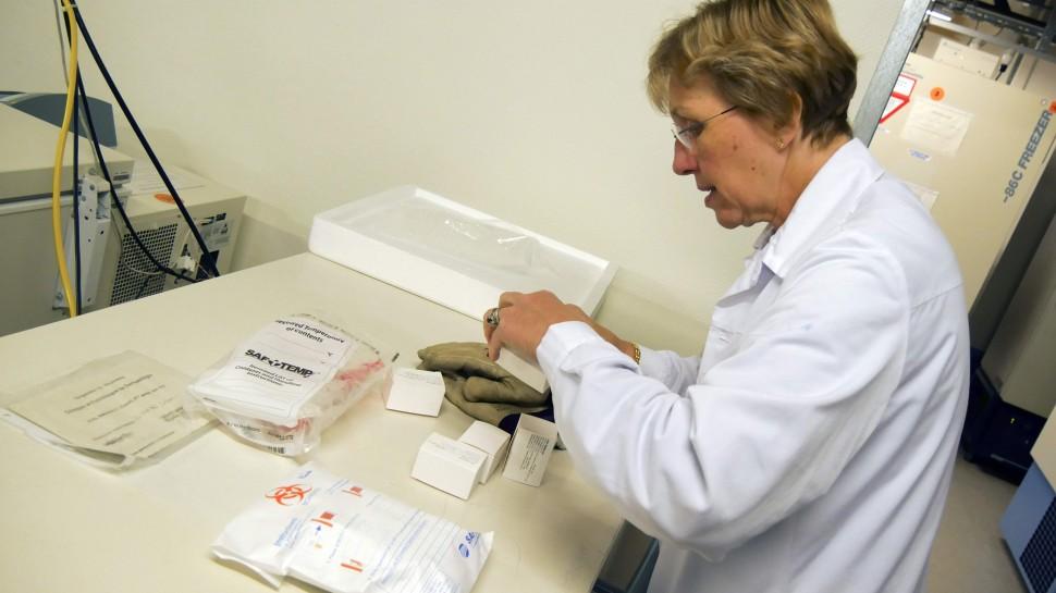 As vacinas contra o Ebola ser&atilde;o testadas em Lib&eacute;ria, Guin&eacute; e Serra Leoa (France Press)