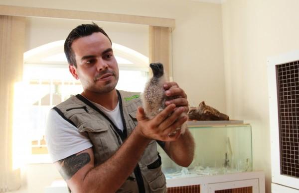 O veterin&aacute;rio Diogo Siqueira, do PlanetVet, com animal resgatado devido &agrave;s queimadas  (Camila Ferreira/AAN)