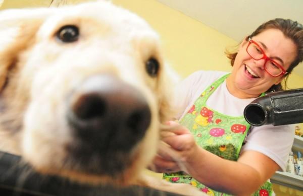 A esteticista de animais, Fl&aacute;via Dias de Aguiar, tem clientes fi&eacute;is; entre eles a Golden Retriever Mel ( Del Rodrigues/ AAN)