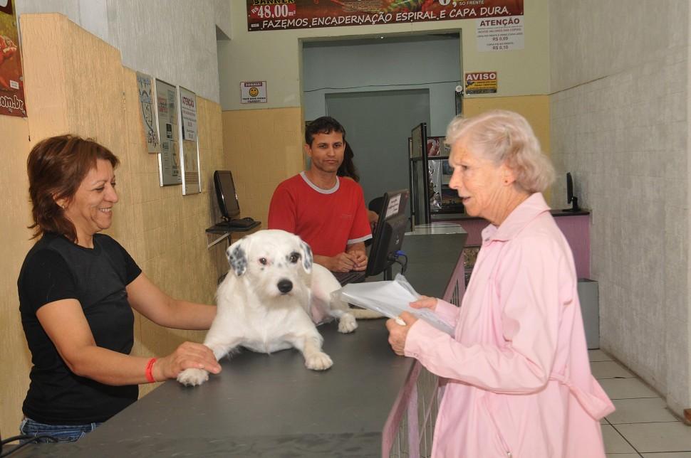 Cachorra, vira, balconista,'atende', clientes, gr&aacute;fica, Centro, Campinas, Fofa (Carlos de Souza Ramos/AAN)