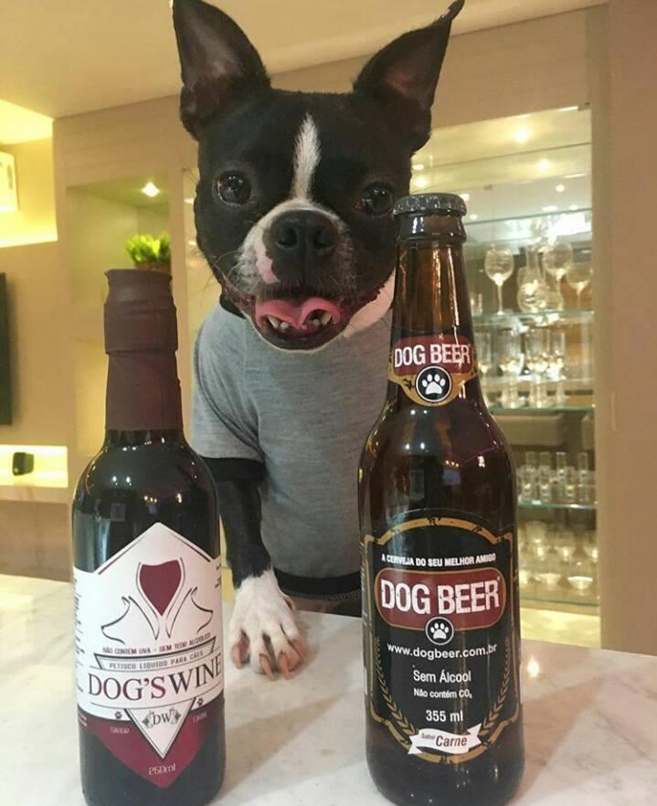 Marca lança cerveja e vinho para os pets. (Divulgação)