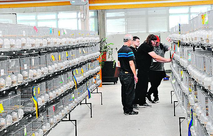 Nos dez dias de duração do evento, 15 mil pessoas estão prestigiando (Matheus Pereira/ESpecial para AAN)
