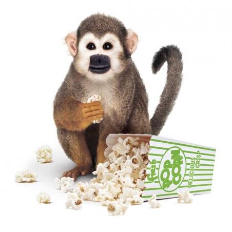 DANDO PIPOCA AOS MACACOS (Marcelo Sguassábia)