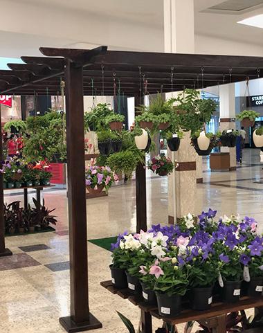 Feira de Flores e Orquídeas encanta clientes do Campinas Shopping (Divulgação)