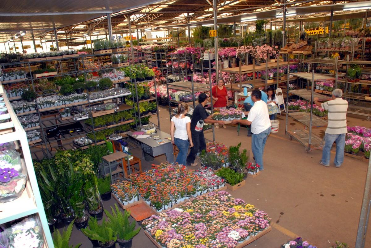 Abastecimento chega a 70% na Ceasa Campinas (Divulgação)