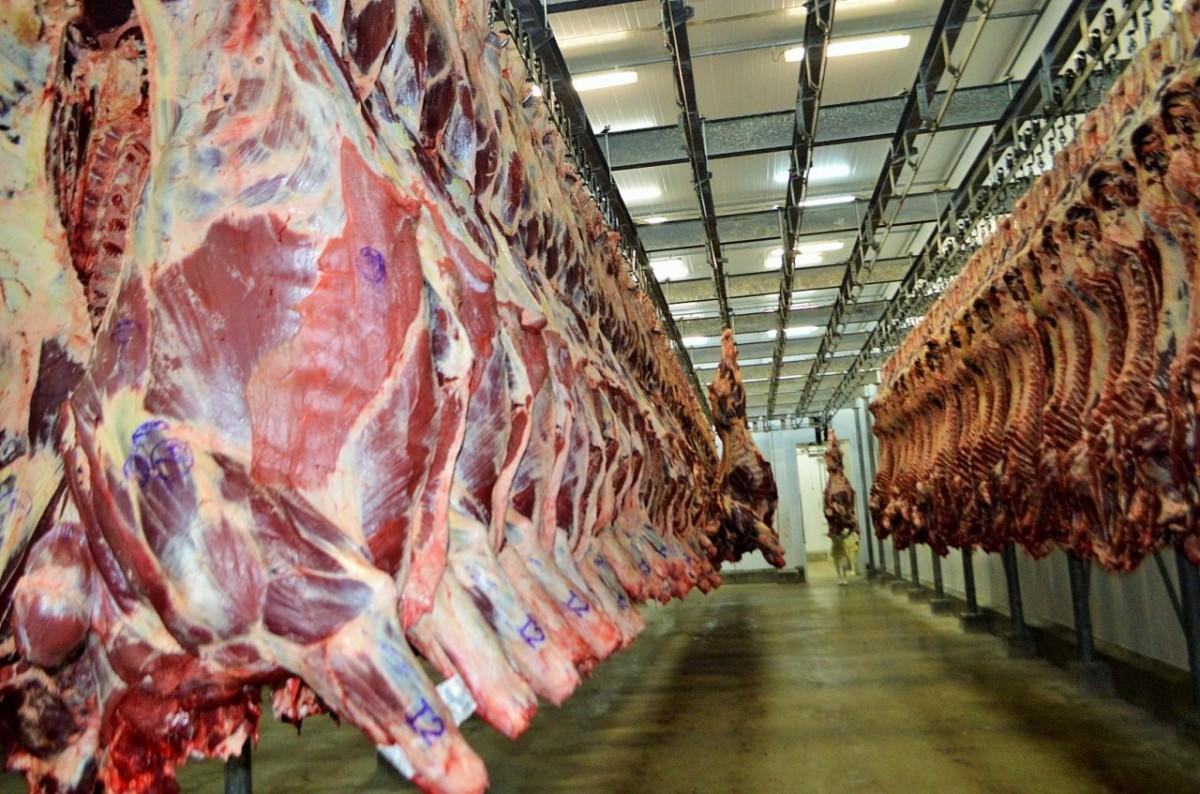 Minerva avalia capitalização de US$ 3 bilhões (Divulgação)