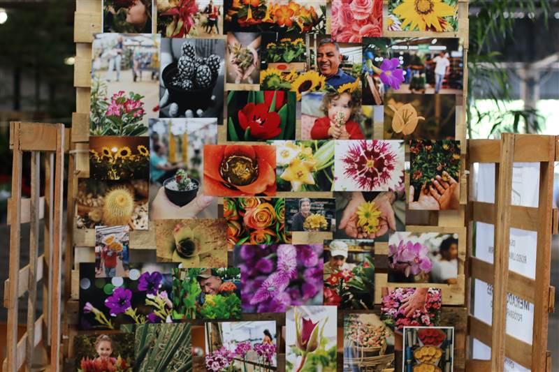 Foi a primeira vez que a Ceasa foi tema do Festival Hercule Florence de Fotografia, realizado anualmente em Campinas (Divulgação Ceasa)