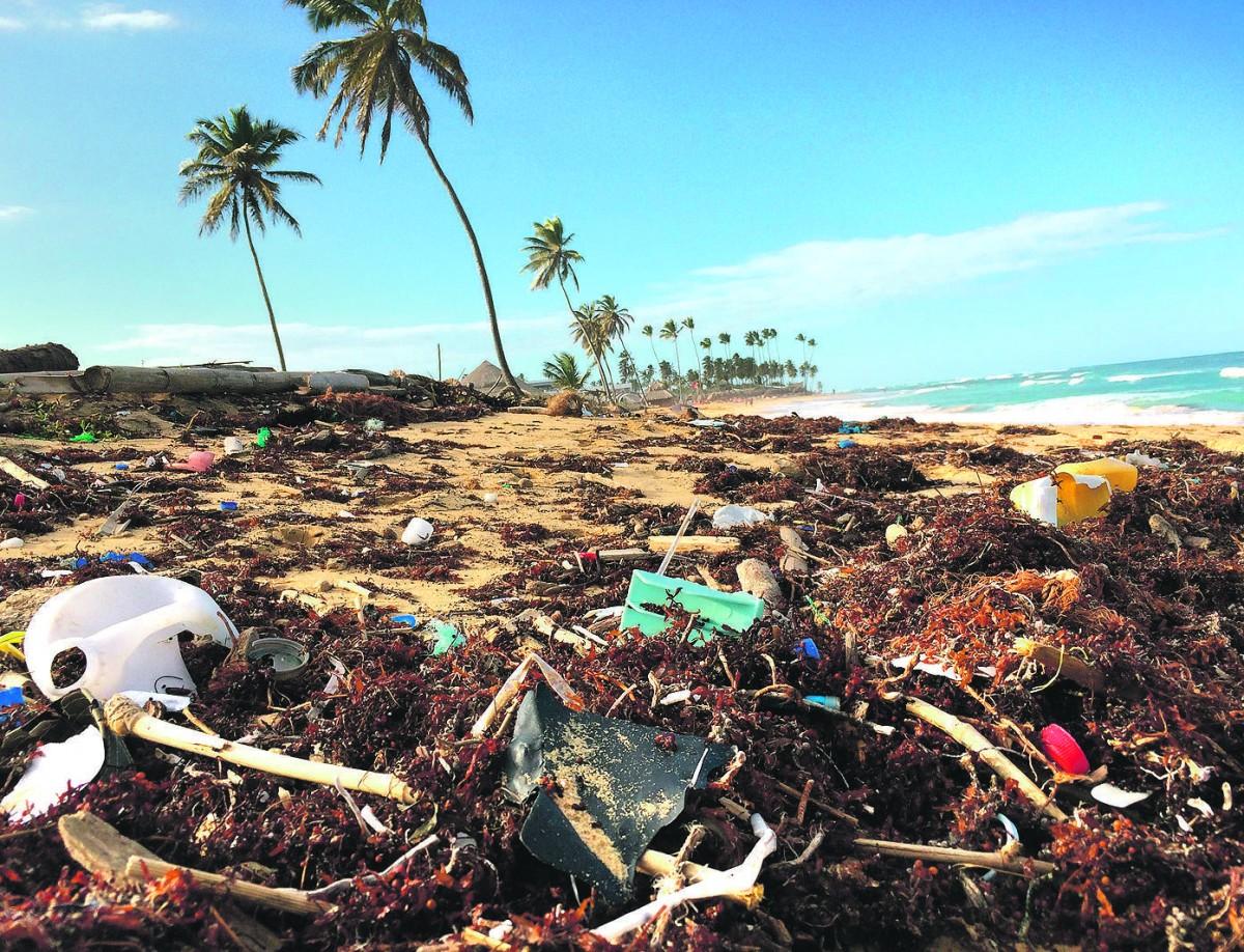 Em meio às algas que poluem as praias, há grande quantidade de lixo plástico que contribui para degradar a natureza: consciência é essencial (Divulgação)